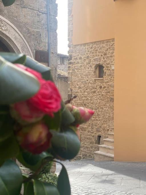 Apartamento Il Nido Dell'Arte Anagni Exterior foto